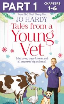 Tales from a Young Vet: Part 1 of 3 : Mad cows, crazy kittens, and all creatures big and small