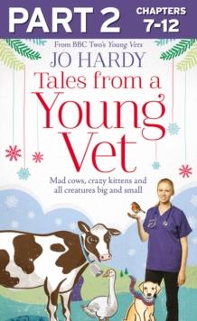 Tales from a Young Vet: Part 2 of 3 : Mad cows, crazy kittens, and all creatures big and small