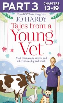 Tales from a Young Vet: Part 3 of 3 : Mad Cows, Crazy Kittens, and All Creatures Big and Small