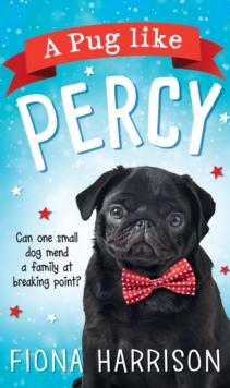 A Pug Like Percy