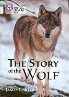 The Story of the Wolf : Band 17/Diamond