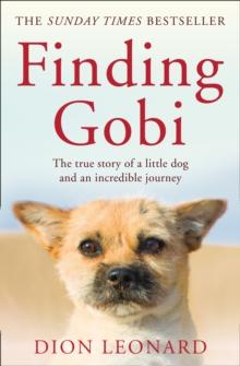 Finding Gobi (Main edition) : The True Story of a Little Dog and an Incredible Journey