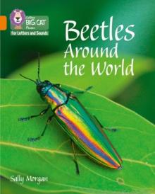 Beetles Around the World : Band 06/Orange