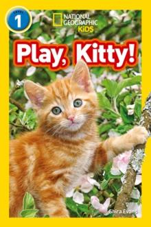 Play, Kitty! : Level 1