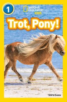 Trot, Pony! : Level 1