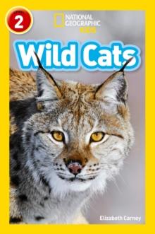 Wild Cats : Level 2