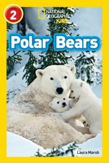 Polar Bears : Level 2