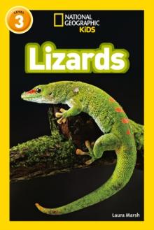 Lizards : Level 3