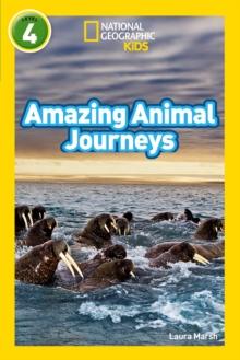 Amazing Animal Journeys : Level 4