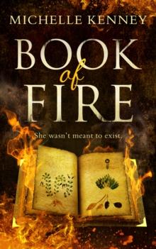 The Book of Fire