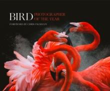 Bird Photographer of the Year : Collection 3