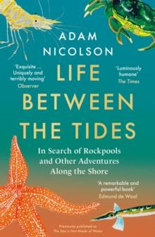 Life Between the Tides : In Search of Rockpools and Other Adventures Along the Shore