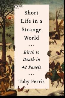 Short Life in a Strange World : Birth to Death in 42 Panels