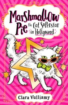 Marshmallow Pie The Cat Superstar in Hollywood