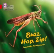 Buzz, Hop, Zip! Big Book : Band 02a/Red a