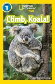 Climb, Koala! : Level 1