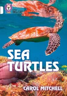 Sea Turtles : Band 10/White