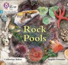 Rock Pools : Phase 3 Set 1