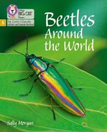 Beetles Around the World : Phase 5 Set 4