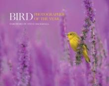 Bird Photographer of the Year : Collection 7