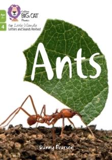 Ants : Phase 4 Set 2