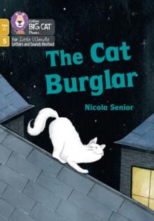 The Cat Burglar : Phase 5 Set 1