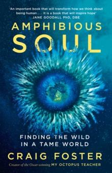 Amphibious Soul : Finding the Wild in a Tame World