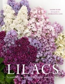 Lilacs : Beautiful varieties for home and garden