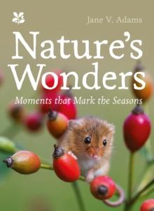 Nature's Wonders : Moments that mark the seasons