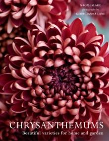 Chrysanthemums : Beautiful varieties for home and garden