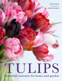 Tulips : Beautiful varieties for home and garden