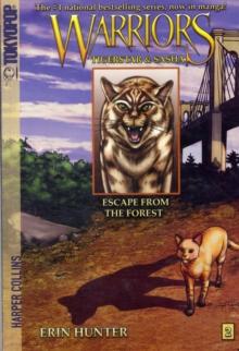 Warriors Manga: Tigerstar and Sasha #2: Escape from the Forest