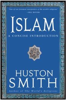 Islam : A Concise Introduction