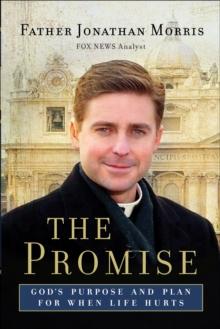 The Promise : God's Purpose and Plan for When Life Hurts