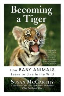 Becoming a Tiger : How Baby Animals Learn to Live in the Wild