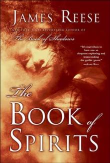 The Book of Spirits