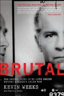 Brutal : The Untold Story of My Life Inside Whitey Bulger's Irish Mob