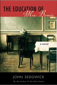 The Education of Mrs. Bemis : A Novel