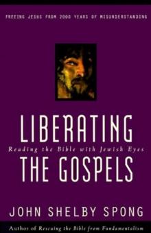 Liberating the Gospels : Reading the Bible with Jewish Eyes