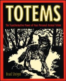 Totems : The Transformative Power of Your Persona