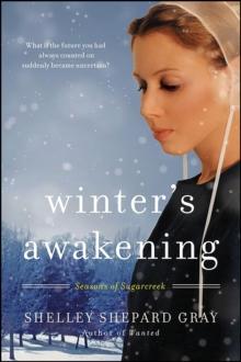 Winter's Awakening : Seasons of Sugarcreek, Book One