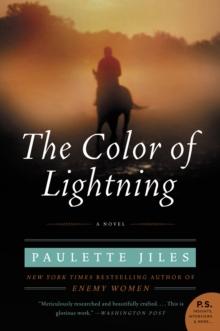 The Color of Lightning : A Novel