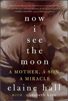 Now I See the Moon : A Mother, a Son, a Miracle