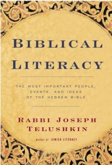 Biblical Literacy : The Most Important People, Events, and Ideas of the Hebrew Bible