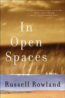 In Open Spaces : A Novel