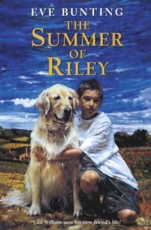 The Summer of Riley