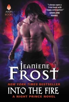 Into the Fire : A Night Prince Novel