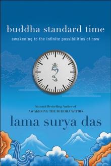 Buddha Standard Time : Awakening to the Infinite Possibilities of Now