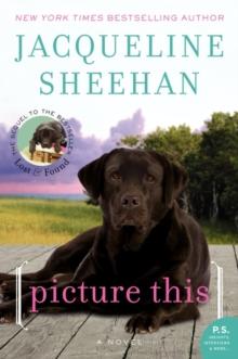 Picture This : A Novel