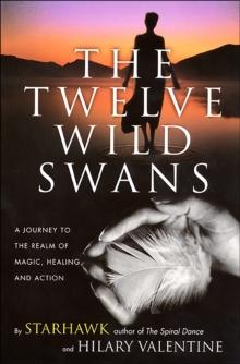 The Twelve Wild Swans : A Journey to the Realm of Magic, Healing, and Action